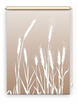 Rollo cereal 24 – cappuccino, Rollo, Motivrollo, Rollo mit Druck, Fotorollo, bedrucktes Rollo, Fensterrollo,verdunkelndes Rollo, Sonnenschutz Rollo